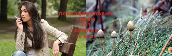 гашиш Надым